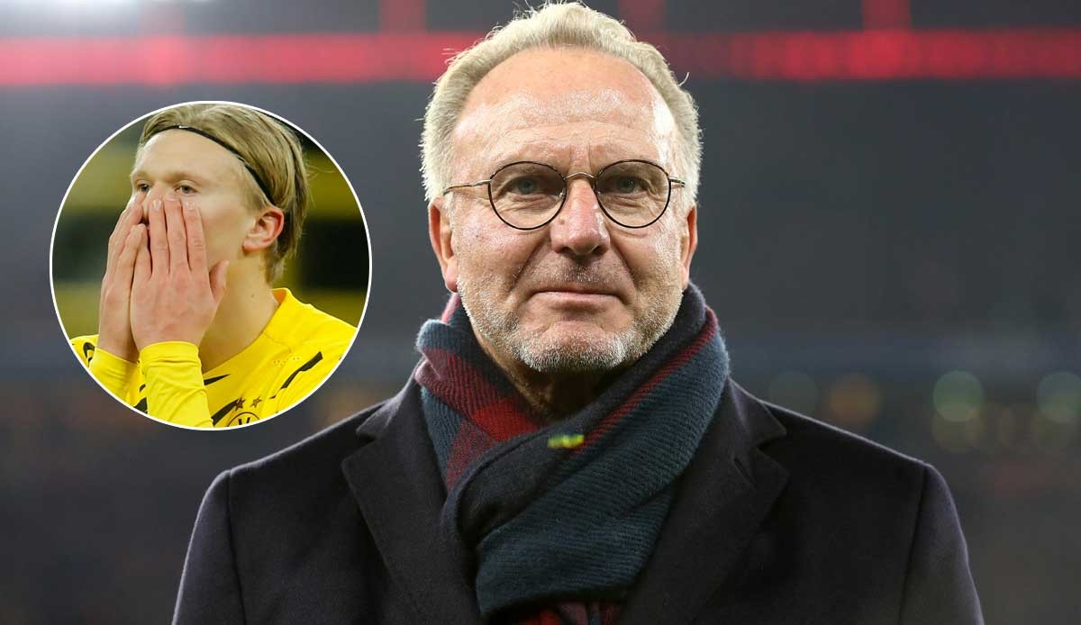 这恰是回合 这恰是回合